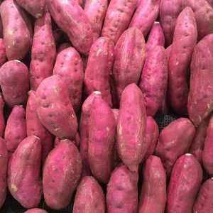 sweet-potato