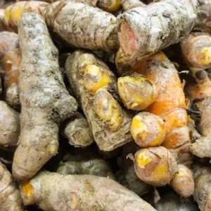 Turmeric