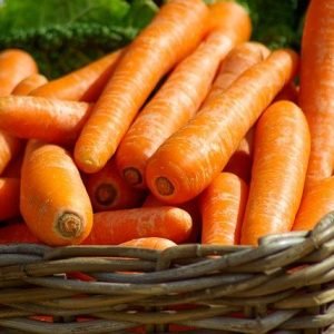 carrots