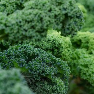 kale