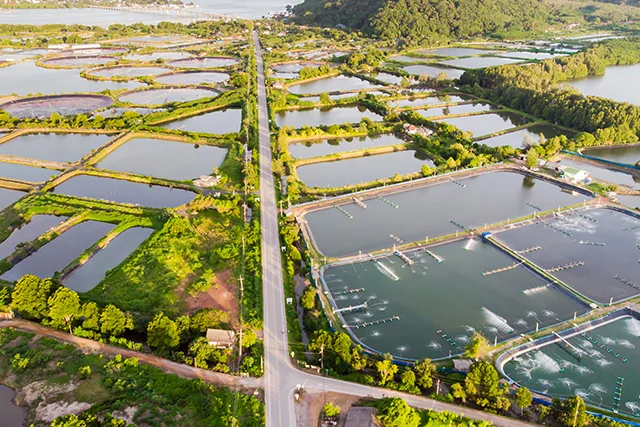 Aquaculture Aquaculture